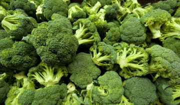 Health Benefits of Broccoli